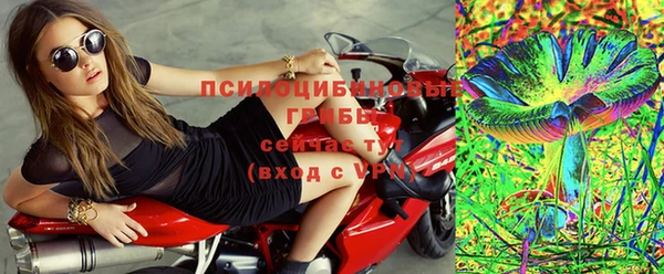 прущие грибы Абаза
