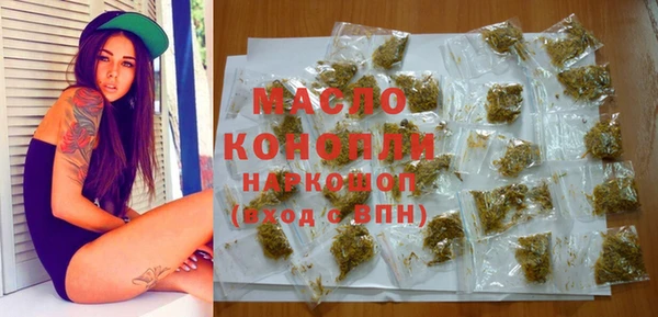 индика Козельск
