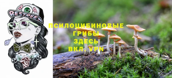 прущие крисы Алзамай