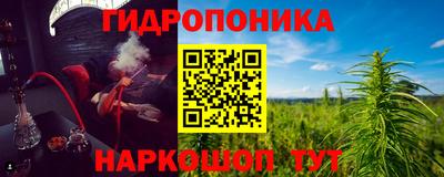 PSILOCYBIN Берёзовский