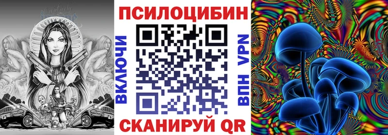 продажа наркотиков  Брянск  Галлюциногенные грибы Psilocybe 