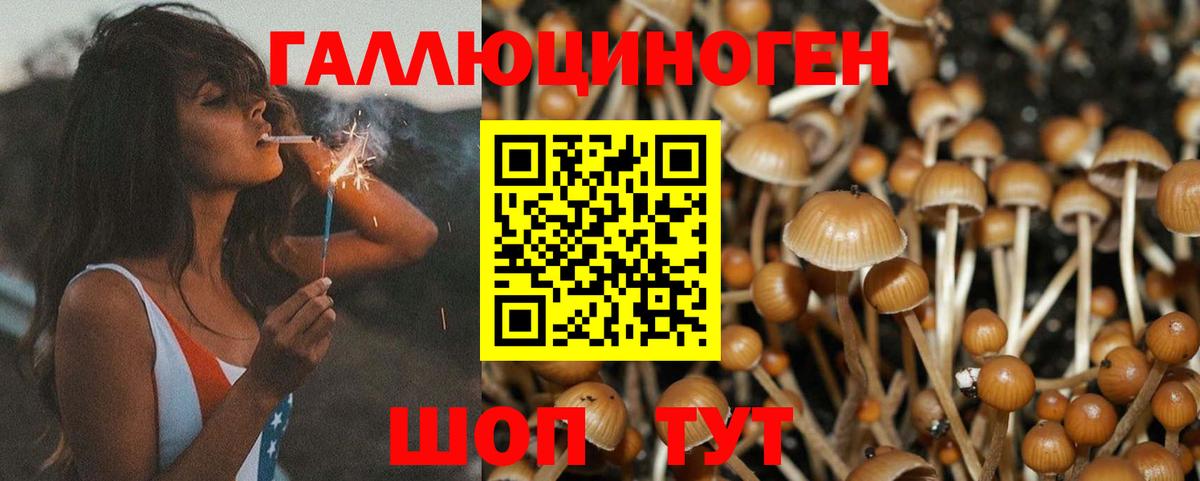 Cocaine Брянск