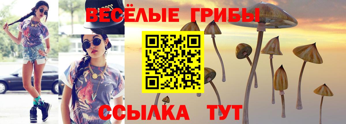 Брянск  Галлюциногенные грибы Psilocybe  Вход с VPN 