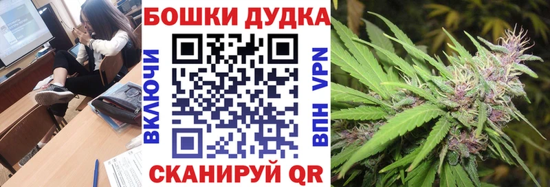 Бошки Шишки план  Брянск 